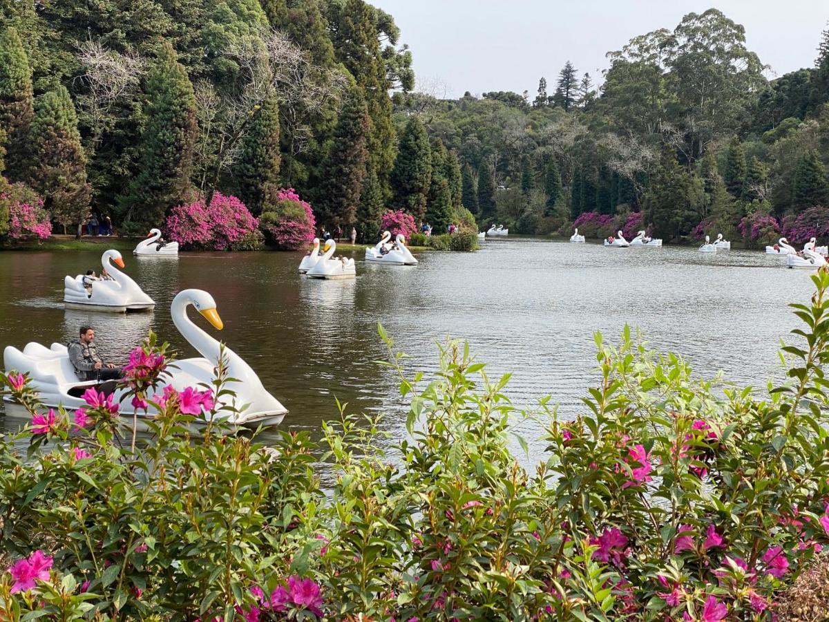 2 Suite, 1 Dormitorio Em Meio A Mata Araucaria A 1,5 Km Centro, Altos De Gramado Zewnętrze zdjęcie